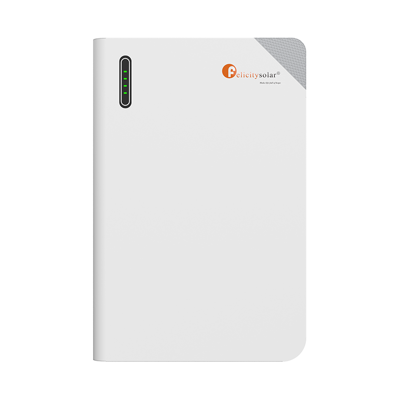 230Ah LiFePO4 Battery (FLB48230WG1-H)