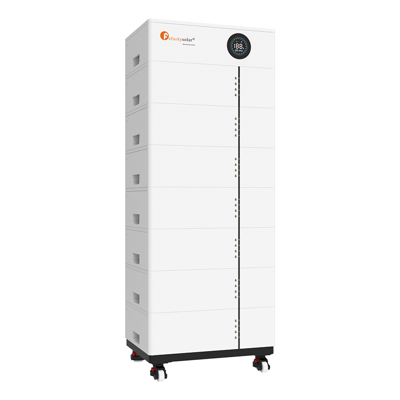 Fls48100sg1 (1)