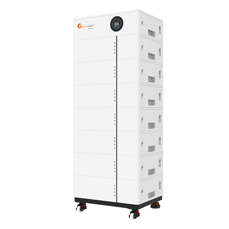 Fls48100sg1 (2)