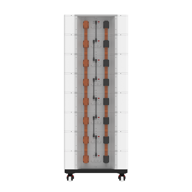 Fls48100sg1 (4)