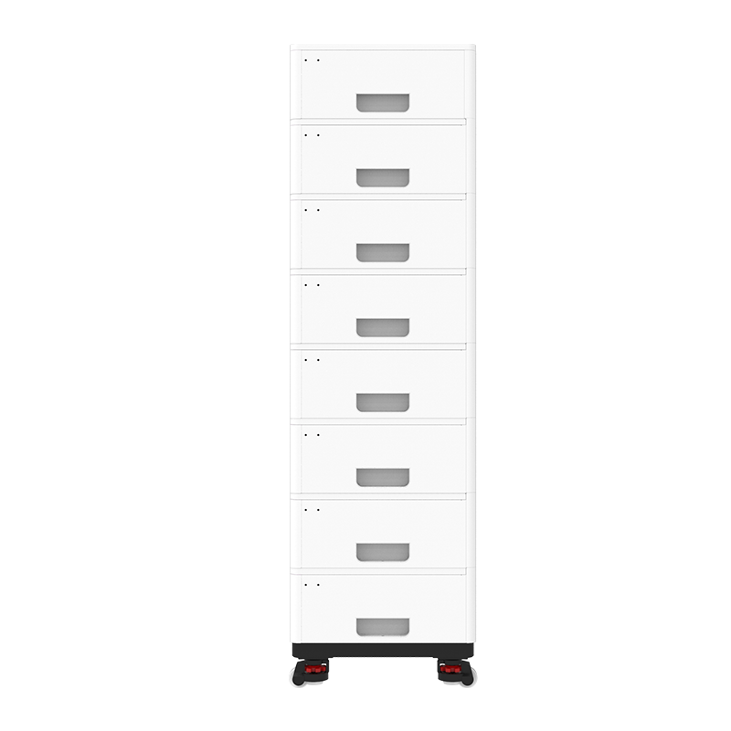 Fls48100sg1 (5)